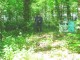 Thumbs/tn_DSC01166.jpg