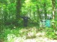 Thumbs/tn_DSC01167.jpg