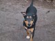 Thumbs/tn_Untitled-03.jpg