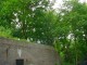 Thumbs/tn_DSC07562.jpg