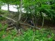 Thumbs/tn_DSC07577.jpg