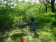 Thumbs/tn_DSC07604.jpg