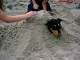 Thumbs/tn_PICT0078.jpg