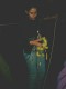 Thumbs/tn_PICT0097.jpg