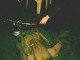Thumbs/tn_PICT0112.jpg