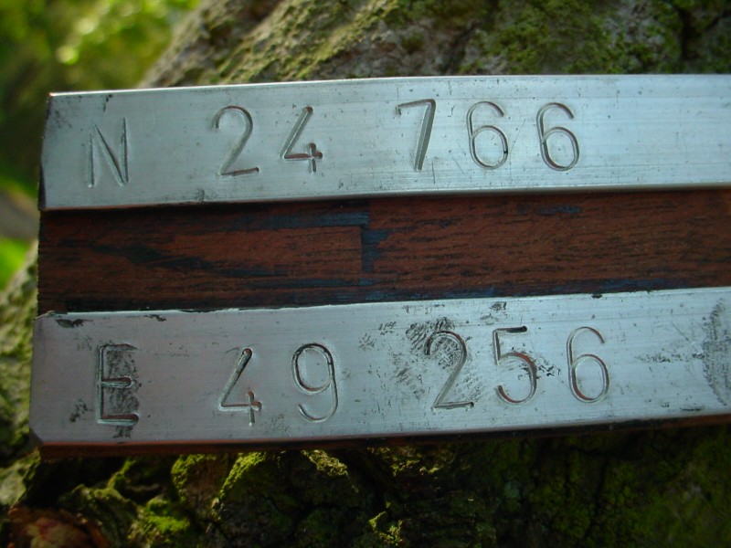../Images/DSC08133.jpg