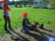 Thumbs/tn_DSC08108.jpg