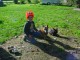 Thumbs/tn_DSC08109.jpg