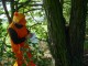 Thumbs/tn_DSC08121.jpg