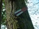 Thumbs/tn_DSC08132.jpg