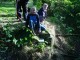 Thumbs/tn_DSC08134.jpg