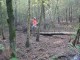 Thumbs/tn_DSC08138.jpg