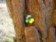 Thumbs/tn_DSC08139.jpg