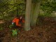 Thumbs/tn_DSC08142.jpg