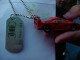 Thumbs/tn_DSC08153.jpg