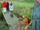 Thumbs/tn_DSC08154.jpg