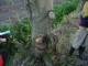 Thumbs/tn_DSC08156.jpg