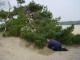 Thumbs/tn_DSC00462.jpg