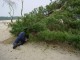 Thumbs/tn_DSC00464.jpg