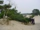 Thumbs/tn_DSC00465.jpg
