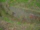 Thumbs/tn_DSC08565.jpg