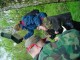 Thumbs/tn_DSC00722.jpg