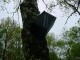 Thumbs/tn_DSC00724.jpg