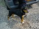 Thumbs/tn_DSC06657.jpg