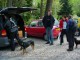 Thumbs/tn_DSC06658.jpg