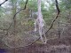Thumbs/tn_DSC06683.jpg