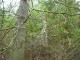 Thumbs/tn_DSC06684.jpg