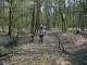 Thumbs/tn_DSC06573.jpg