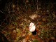 Thumbs/tn_SIMG0545.jpg