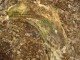 Thumbs/tn_DSC08620.jpg