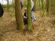 Thumbs/tn_DSC08632.jpg