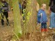 Thumbs/tn_DSC08635.jpg