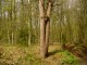 Thumbs/tn_DSC08636.jpg