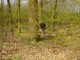 Thumbs/tn_DSC08641.jpg