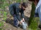 Thumbs/tn_DSC08651.jpg