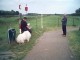 Thumbs/tn_PIC00005.jpg