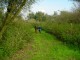 Thumbs/tn_DSC03895.jpg
