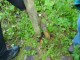Thumbs/tn_DSC03903.jpg