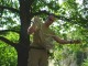 Thumbs/tn_DSC03104.jpg