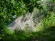 Thumbs/tn_DSC03108.jpg
