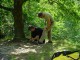 Thumbs/tn_DSC03109.jpg