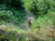 Thumbs/tn_DSC03121.jpg