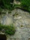 Thumbs/tn_DSC03139.jpg