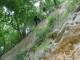 Thumbs/tn_DSC03140.jpg