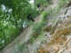 Thumbs/tn_DSC03141.jpg