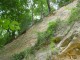 Thumbs/tn_DSC03145.jpg